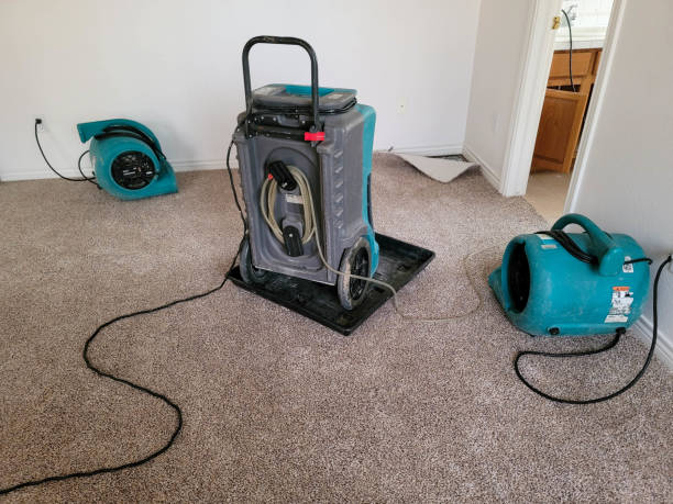 Best Flood damage cleanup  in Mpbell, CA