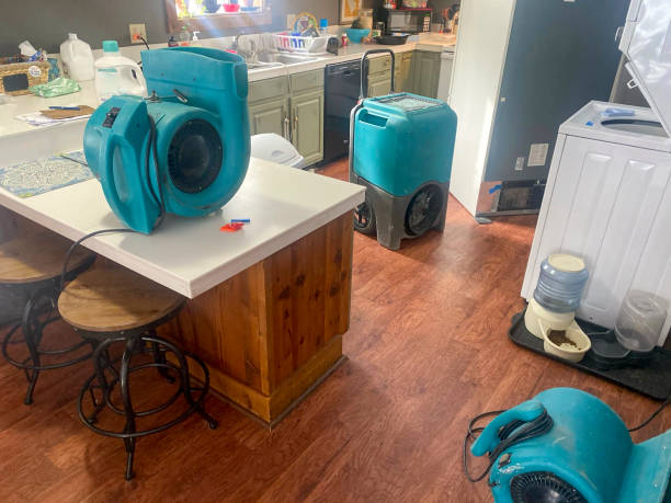 Best Mold removal after water damage  in Mpbell, CA