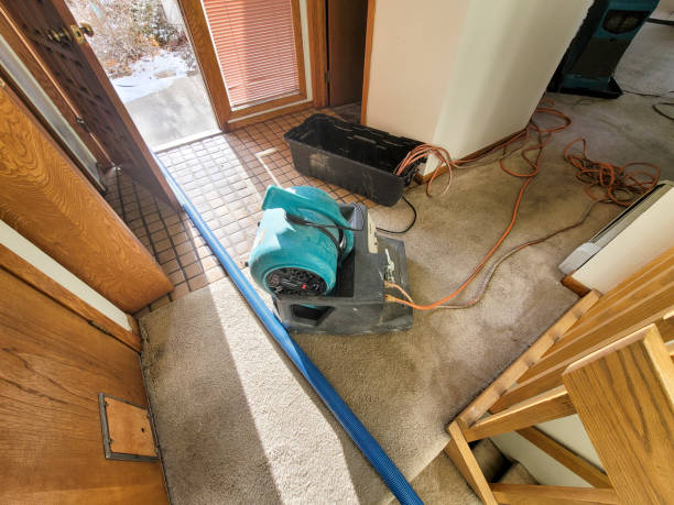 Best Commercial water damage restoration  in Mpbell, CA