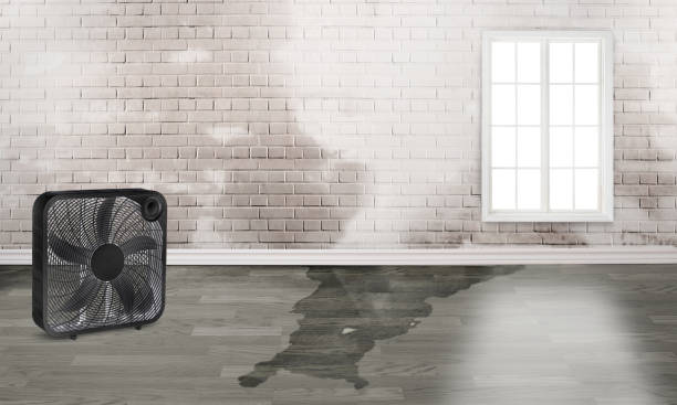 Best Water damage restoration process  in Mpbell, CA