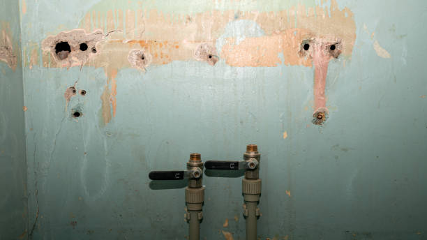 Best Local water damage restoration  in Mpbell, CA