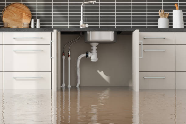 Best Professional water damage repair  in Mpbell, CA