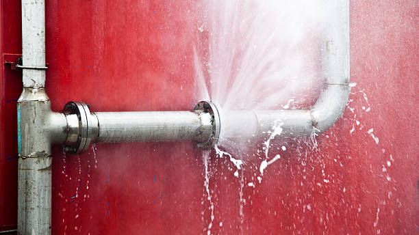 Best Professional water damage repair  in Mpbell, CA